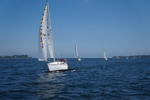 DSC00578rs