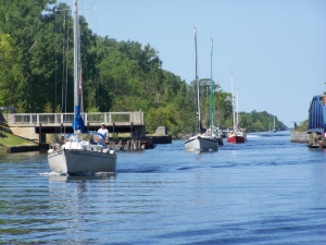 RS100_8863
