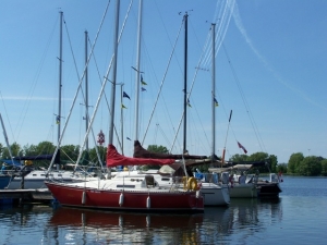 RS100_8886