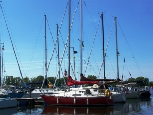 RS100_8904