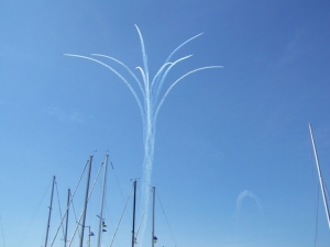 RS100_8908