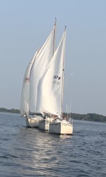 Andrew-Waddell-_-3-white-boats