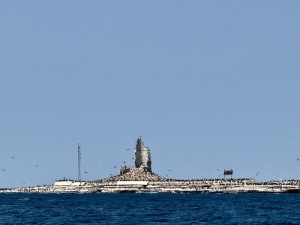 Christine-Fairbank-_-Scotch-Bonnet