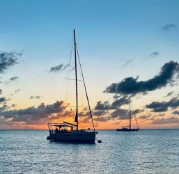 Joanne-Cooper-_-sunset-silhouette