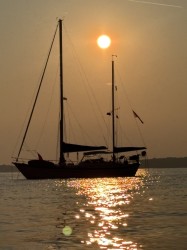 Michele-Coxhead-_-silhoutte