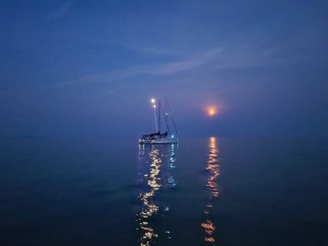 Patricia-Skerlan-_-Nicolas-entry