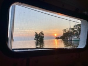 Patricia-Skerlan-_-portlight