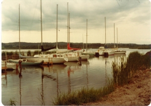 The harbour fills up