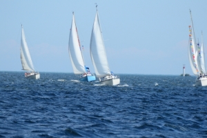 DSC_0348