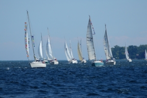 DSC_0351