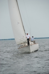 DSC_0206