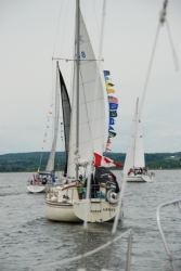 DSC_0268