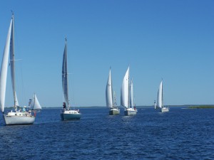 The Line Up