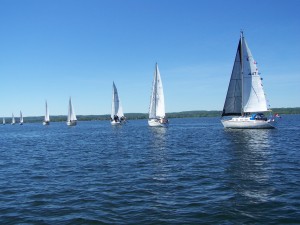 The Line Up