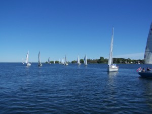 The Line Up