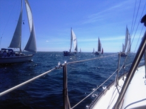 IMG_2017072Scotch Bonnet Race 2017 white fleet