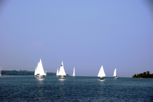 Last Leg