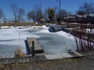 Apr 2 2015.JPG
