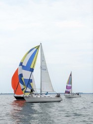 PXL_20230715_182955514