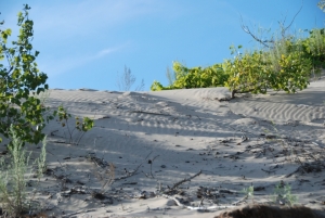 Dunes Lake Ontario Side